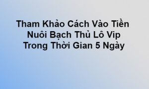 Cách Vào Tiền Nuôi Lô Bạch Thủ Khung 5 Ngày