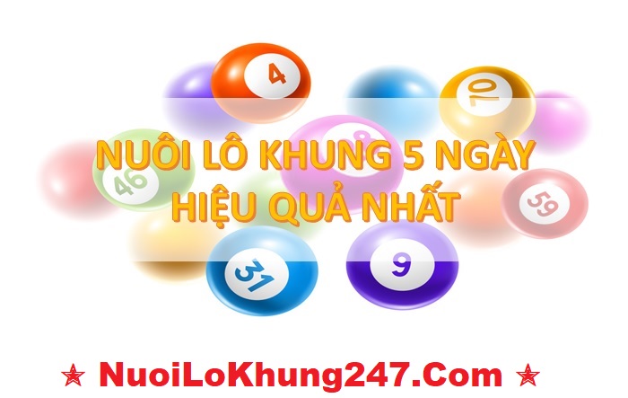 nuôi lô bạch thủ khung 5 ngày