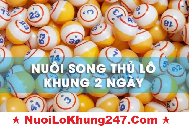 Song thủ lô nuôi khung 2 ngày được hiểu là 2 con lô mà anh em sử dụng để đánh cùng lúc trong 2 ngày liên tiếp