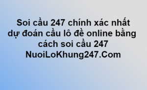 Soi cầu 247