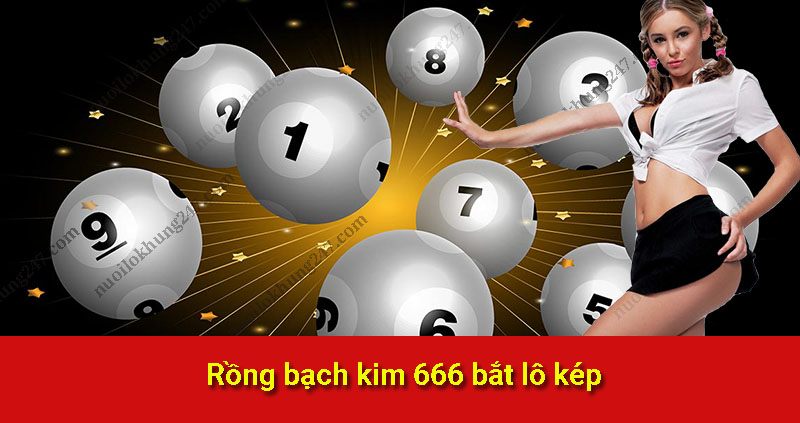 Rồng bạch kim 666